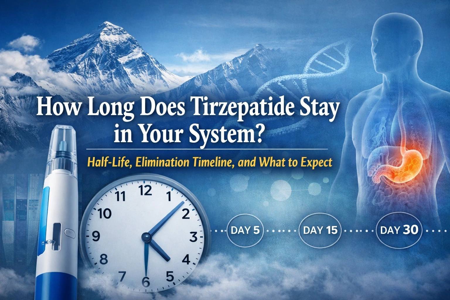 how long for tirzepatide to work How Long Does Tirzepatide Stay in Your System?